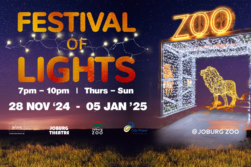 Festival Of Lights 2024 Website Image