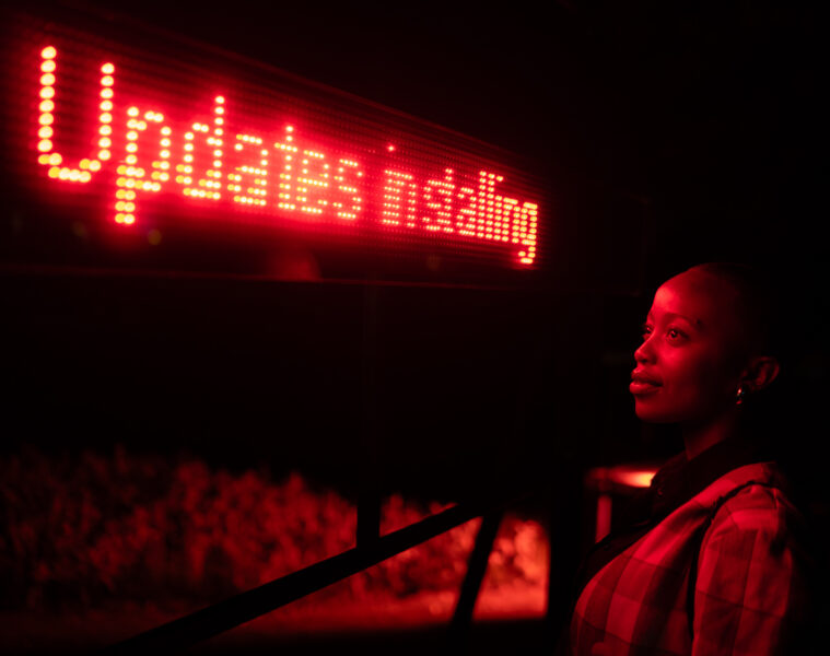 Spier Light Art 2024 Patel De Villiers Assembling Lines 40