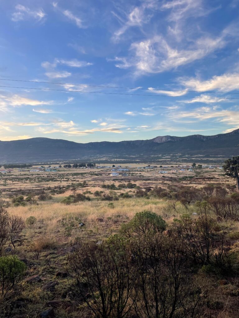 Img 20250305 wa0016