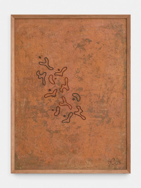 A genealogical recital 2025 85x64x3cm tinyiko makwakwa