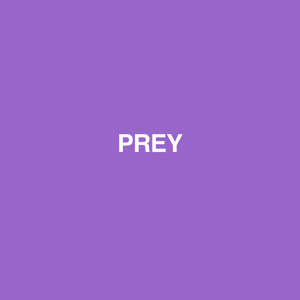 Prey cover official