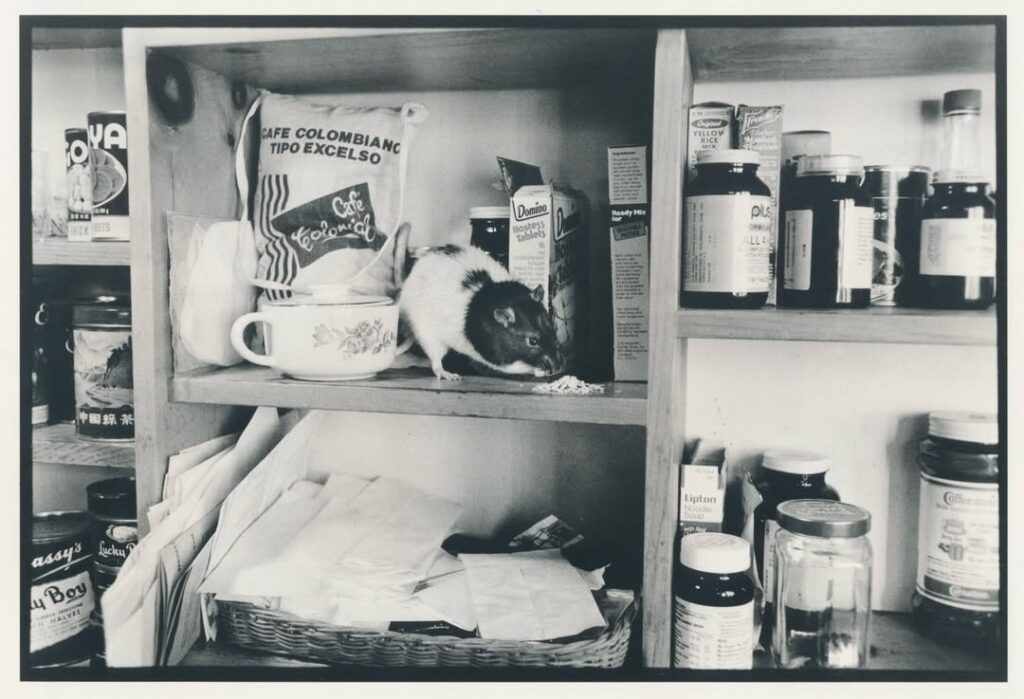 Snapinsta.to 615807930 17845307694669697 6304439099932288047 n (1)