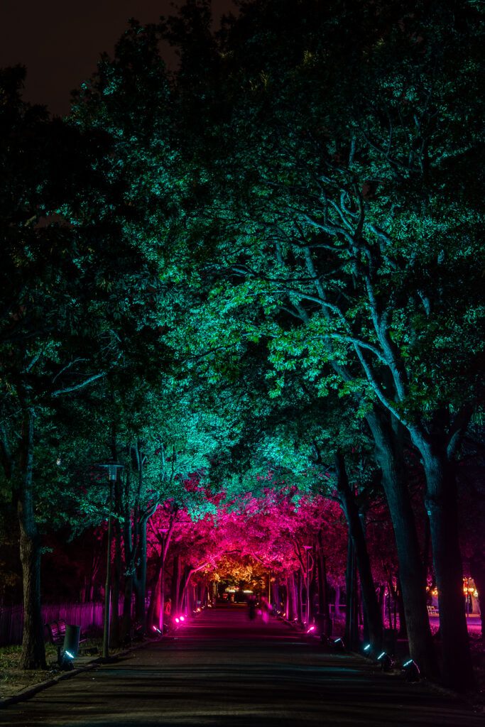 Lumenocity jonxpillemer 15